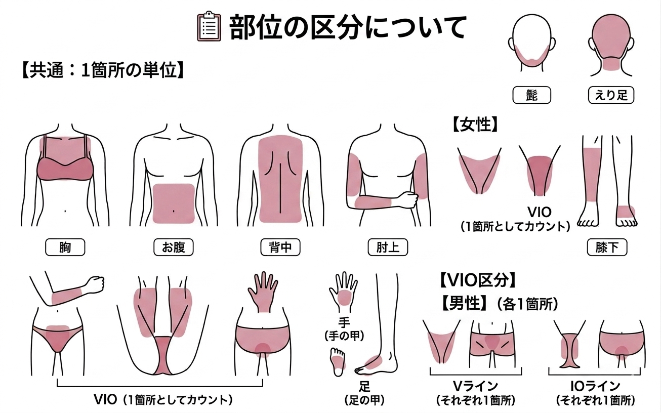 部位の区分について